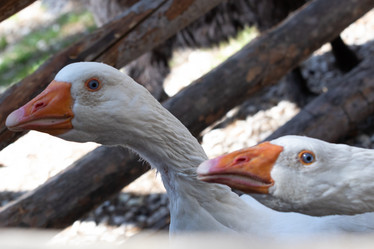 Similar image 21948718