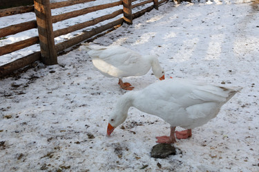 Similar image 21948721