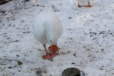 Similar image 21948723