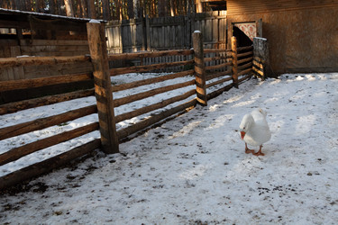 Similar image 21948727