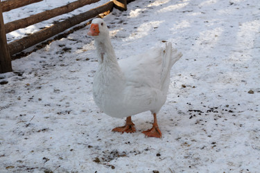 Similar image 21948728