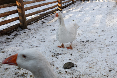 Similar image 21948730