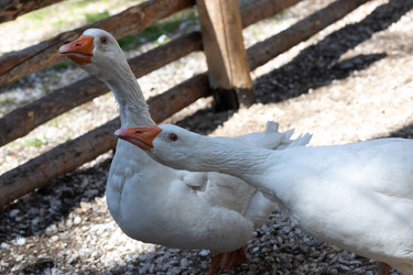 Similar image 21948735