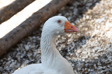 Similar image 21948736