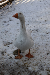 Similar image 21948941