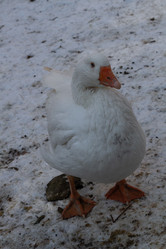 Similar image 21948943