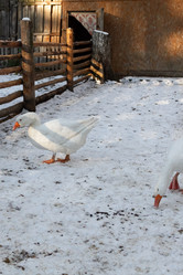 Similar image 21948947