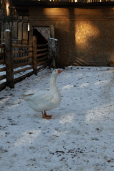 Similar image 21948948