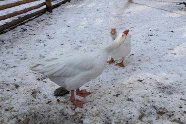 Similar image 21948949