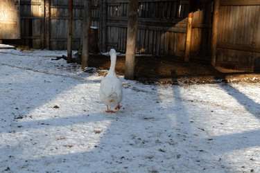 Similar image 21948951