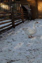 Similar image 21948952