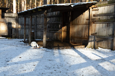 Similar image 21948954