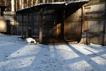 Similar image 21948955