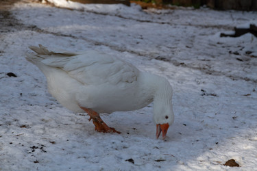 Similar image 21948957