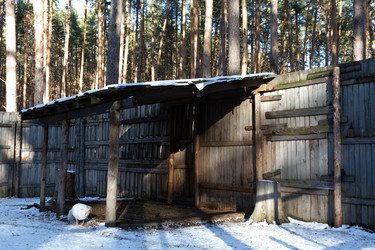 Similar image 21948960