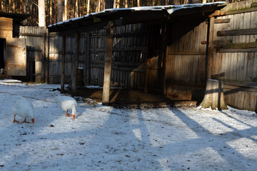 Similar image 21948964