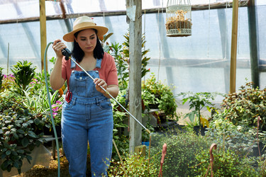 Similar image 21925543