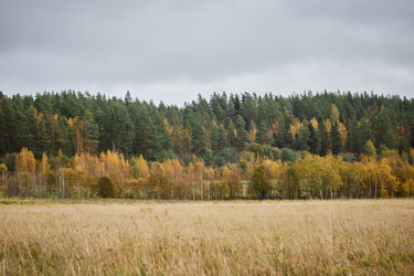 Similar image 21931328