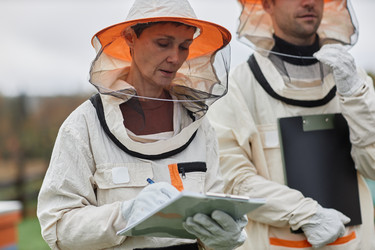 Similar image 21927311