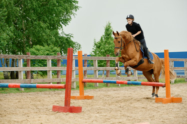 Similar image 21929791