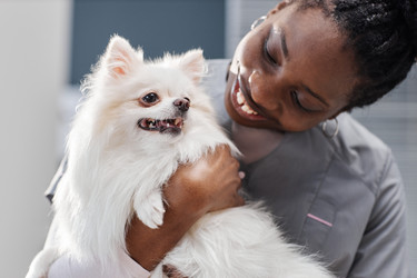 Similar image 21923524