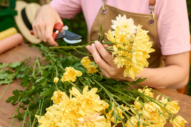 Similar image 21922566