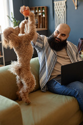 Similar image 21931381