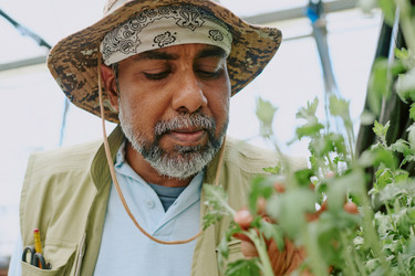 Similar image 21931692