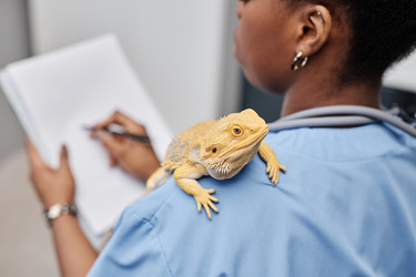 Similar image 21924493