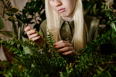 Similar image 21924819