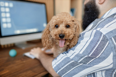 Similar image 21926763