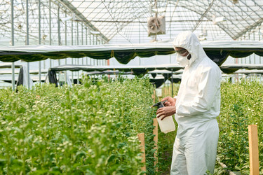 Similar image 21926980