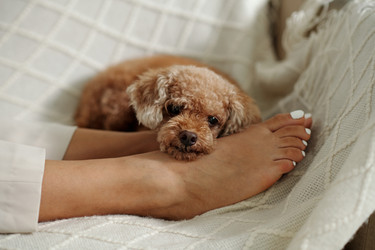 Similar image 21923500