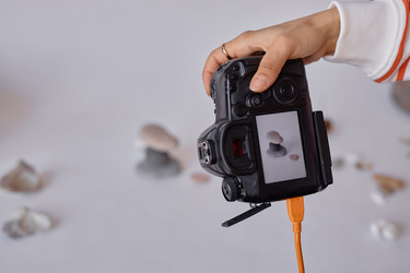 Similar image 21923592