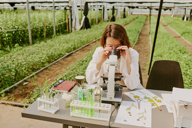 Similar image 21925893