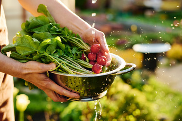 Similar image 21926989