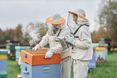 Similar image 21932190