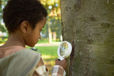 Similar image 21923929