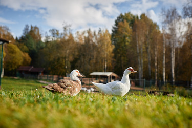 Similar image 21925082