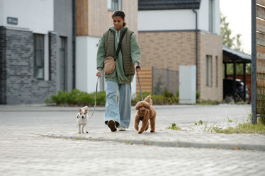 Similar image 21923733