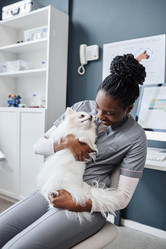 Similar image 21927369