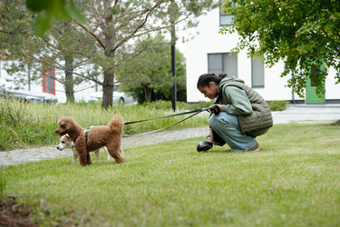 Similar image 21927510