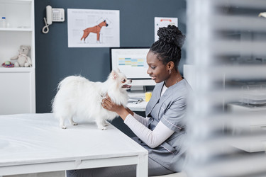 Similar image 21918995