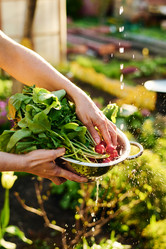 Similar image 21932069