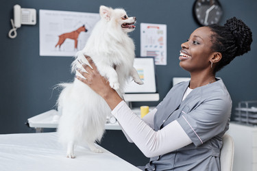 Similar image 21921338