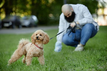 Similar image 21926524