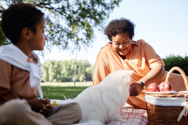 Similar image 21931509