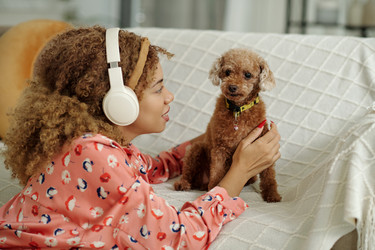 Similar image 21930209