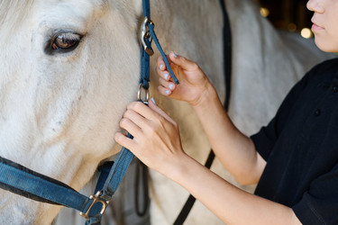 Similar image 21931037