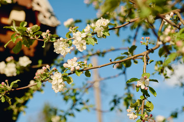 Similar image 21921133